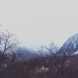 Meet your Posher, Lunluna